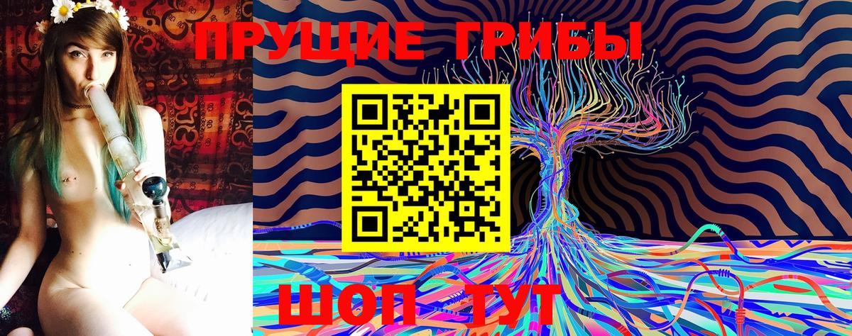 Псилоцибиновые грибы прущие грибы Видное
