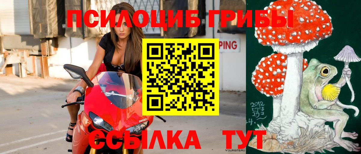 Псилоцибиновые грибы мухоморы  Вход с VPN  Видное  Псилоцибиновые грибы GOLDEN TEACHER 